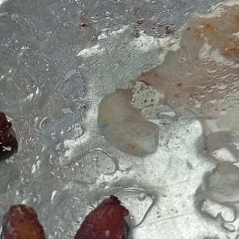 Köfteci Yusuf Menemen Şubesinde Çorba İçinde Çürük Domates Ve Plastik Cisim