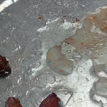 Köfteci Yusuf Menemen Şubesinde Çorba İçinde Çürük Domates Ve Plastik Cisim