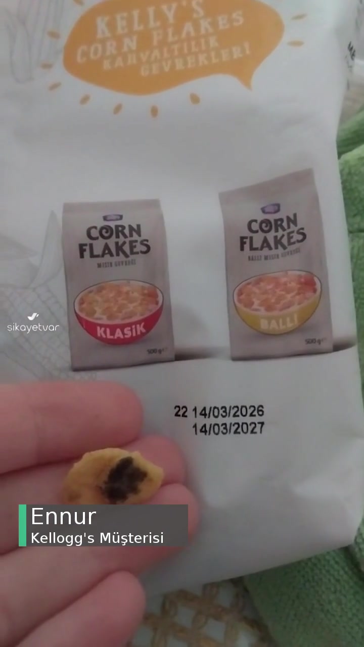 Kelley Çürük Ve Bazıları Sert! videonun kapak resmi