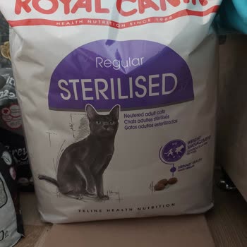 Royal Canin Sterilised Kedi Maması Bozulmuş, Kedim Yemiyor
