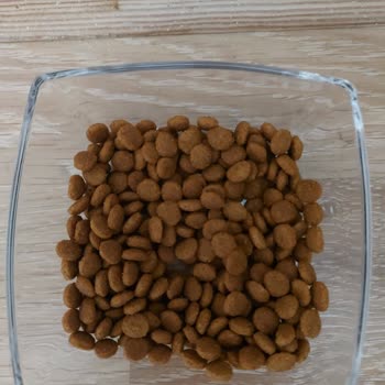 Royal Canin Sterilised Kedi Maması Reddedildi, İade Talep Ediyorum