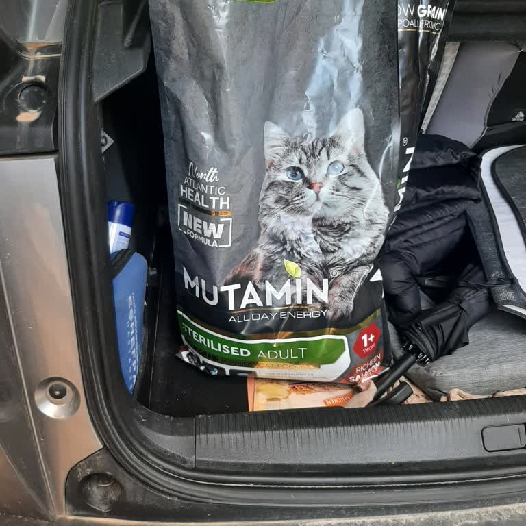 Mutamin Mama Çürük Koku Ve Kalitesiz Mama İçin İade Talebi