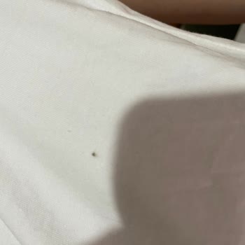 Pull & Bear T-Shirt'inde Kırmızı İp Ve Leke