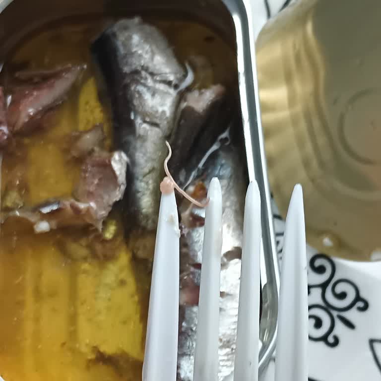 Dardanel Zeytinyağlı Sardalya Konservesinde Parazit Bulundu