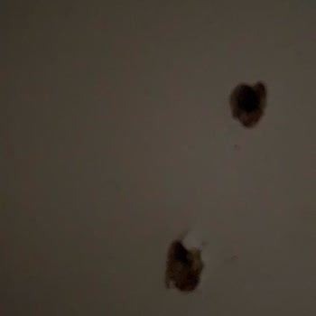 Monte Model Çocuk Gardırobunun Kapağı Düşerek Bebeği Tehlikeye Attı