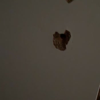 Monte Model Çocuk Gardırobunun Kapağı Düşerek Bebeği Tehlikeye Attı