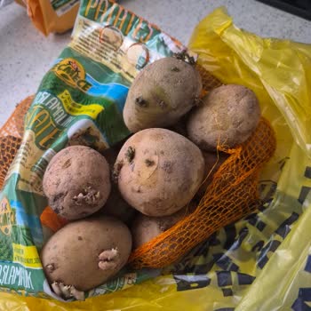 Çürük Patates Ve Marul İçin İade/Değişim Talebi