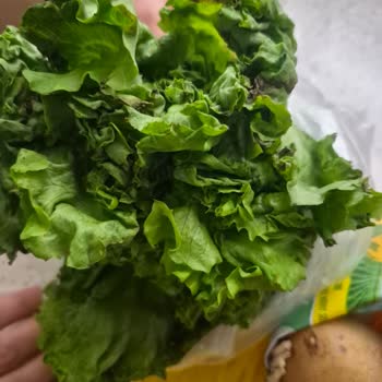 Çürük Patates Ve Marul İçin İade/Değişim Talebi