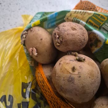 Çürük Patates Ve Marul İçin İade/Değişim Talebi