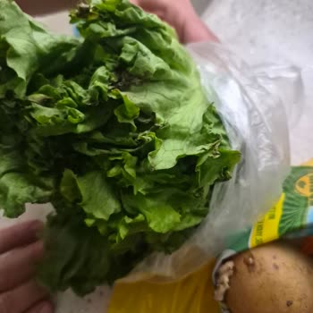 Çürük Patates Ve Marul İçin İade/Değişim Talebi