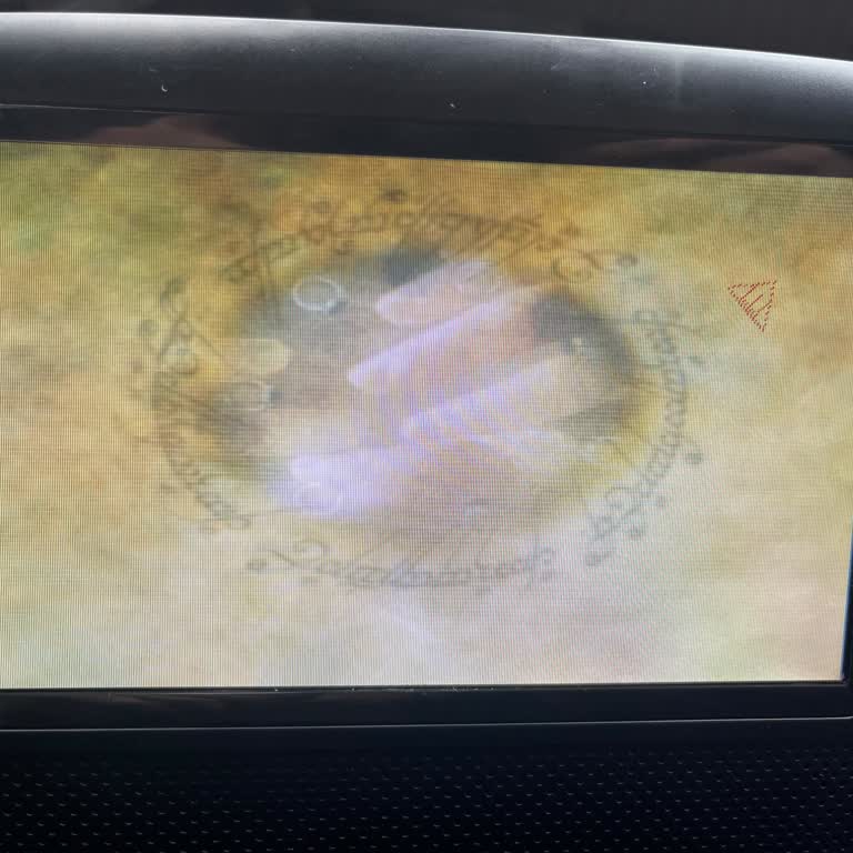 Kusurlu DVD Oynatıcı İadesi İptal Edildi Ve Fotoğraf Güncellemesi Görmezden Gelindi