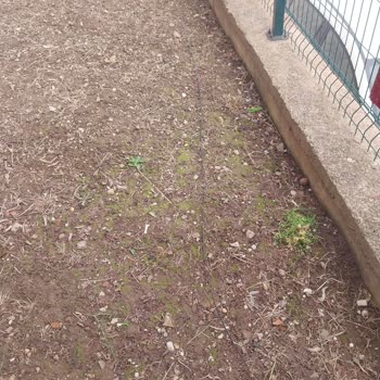 Kopmuş Kablo Nedeniyle İnternet Kesintisi Ve Çocukların Eğitimi Aksıyor