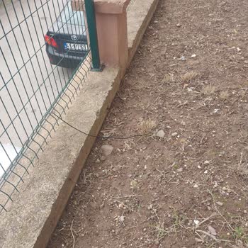 Kopmuş Kablo Nedeniyle İnternet Kesintisi Ve Çocukların Eğitimi Aksıyor