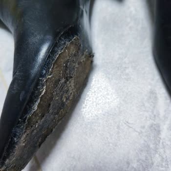 Tabanındaki Üretim Hatası Nedeniyle Beymen Ayakkabısına Garanti Reddi Ve İade Talebi