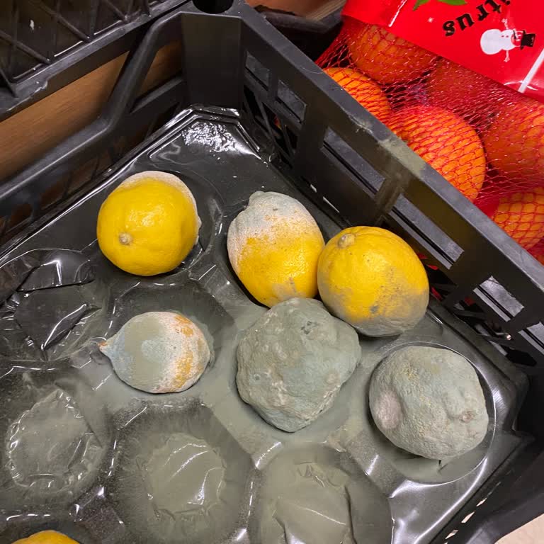 Maltepe Altayçeşme A101 Manav Bölümünde Hijyen Ve Ürün Kalitesi Sorunu