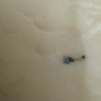 Altınkılıç Kaşar Peynirinin Erken Küflenmesi Ve Son Tüketim Tarihi Sorunu