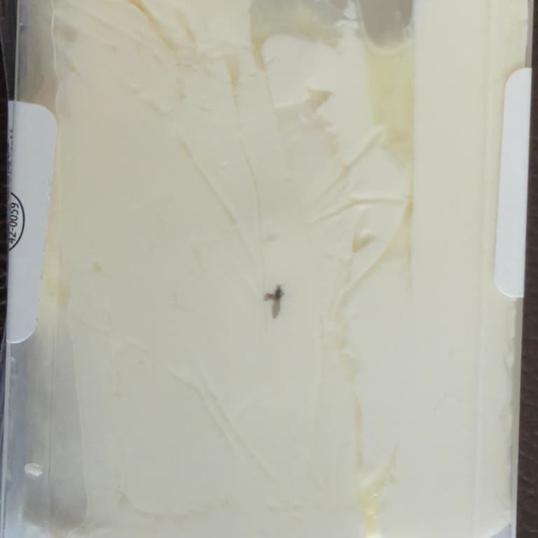 Harras Rulo Kaymakta Ölü Sinek Bulundu Hijyen Ve İade Talebi