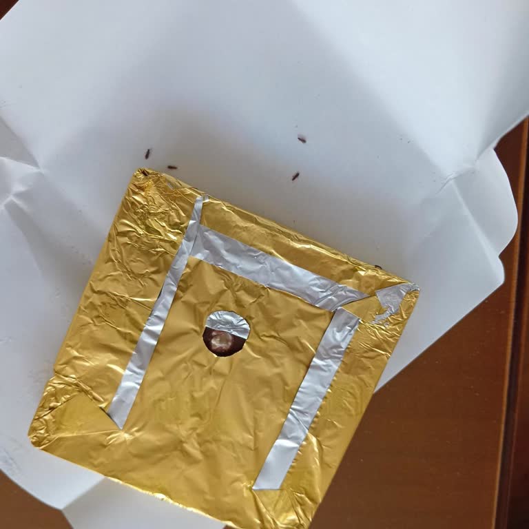 Eti Çifte Kavrulmuş Fındıklı Ürününde Böcek Bulunması