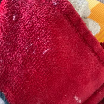 Battaniyenin Aşırı Tüy Dökmesi Ve Müşteri Hizmetlerinin Cevapsızlığı