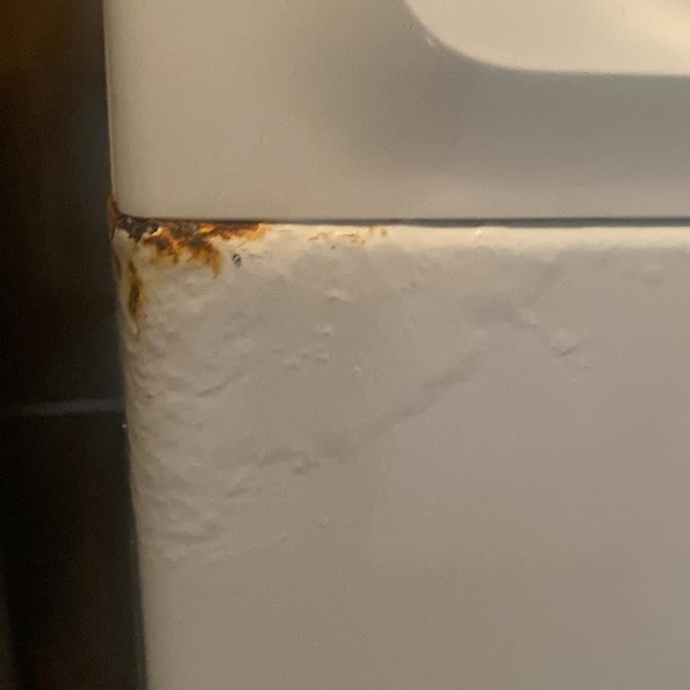 Profilo CGA242X3TR Model Çamaşır Makinesinde Deterjan Gözünün Paslanması Ve Kapak Hasarı