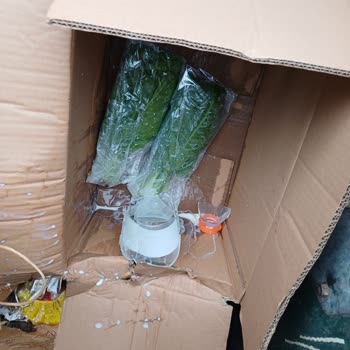 Tazedirekt Kırık Ve Islak Paketler Apartmanı Kirletti, Kurye Davranışı Güveni Sarsıyor