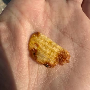 Ruffles Cipsinde Yabancı Siyah Parçalar Ve Aşırı Yağlılık Şikayeti