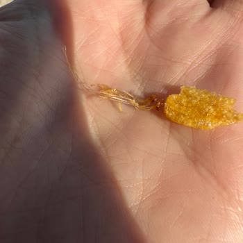 Ruffles Cipsinde Yabancı Siyah Parçalar Ve Aşırı Yağlılık Şikayeti