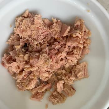 Migros’ta Tada Ton Balığında Kara Sinek Görülmesi Sağlık Endişesi Yaratıyor