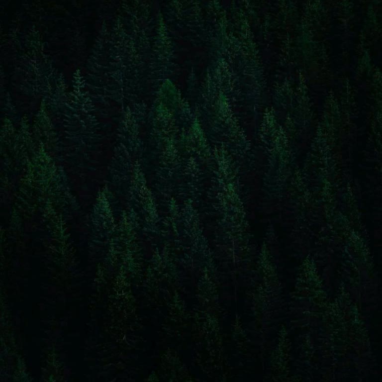 Sipariş Gecikmesi Ve Cevapsız Müşteri Desteği