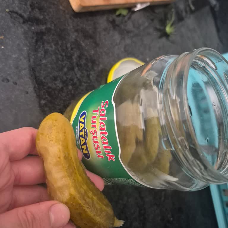 Vatan Salatalık Turşusunda Hijyen Skandalı: Isırılmış Salatalıklar Ortaya Çıktı