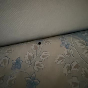 Karyola Tahta Kurusu İstilası Çocuk Sağlığını Tehlikeye Atıyor İade Talebi