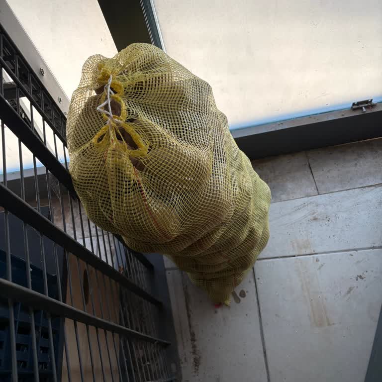 A101 Beykoz Şubesinde Çürük Patates Satışı Müşteriyi Memnun Etmedi