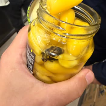 Kayseri BİM Fıçı Turşusunda Hamam Böceği Bulunması Gıda Güvenliği Şikayeti