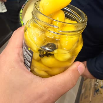 Kayseri BİM Fıçı Turşusunda Hamam Böceği Bulunması Gıda Güvenliği Şikayeti