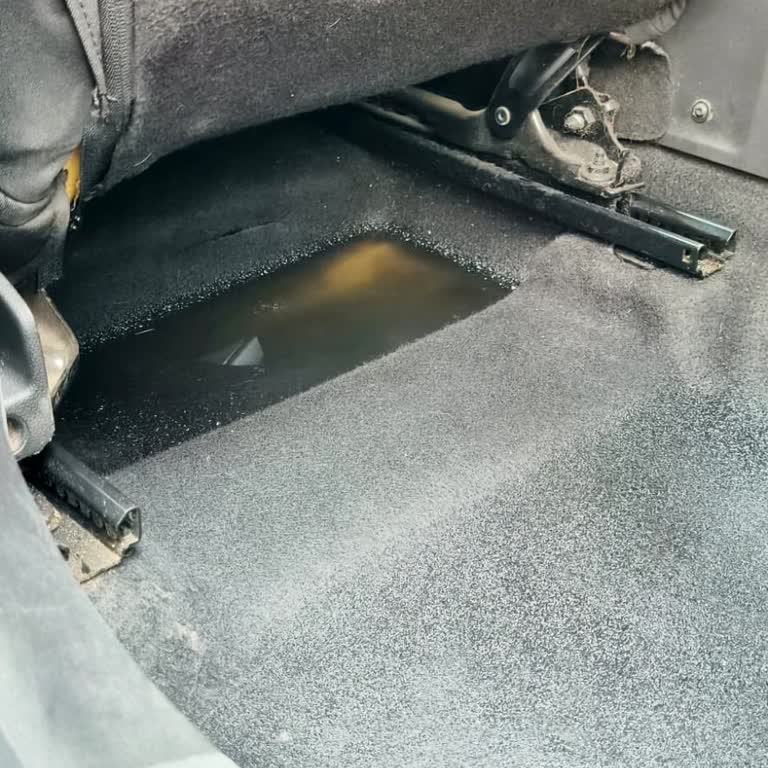 Dacia Sandero Stepway’da Sol Arka Ayak Basmada Su Girişi Ve Garanti Talebi