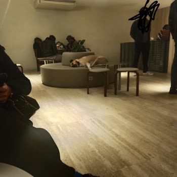 Mecidiyeköy Espresso Lab’da Köpek Ve Hijyen İhmali