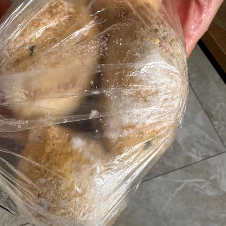 Bosch Buzdolabında Gürültü Ve Dondurucu Ürünlerin Kara Dönüşü