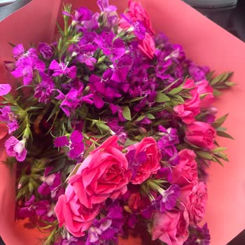 Solmuş Çiçekler Ve Görsel Uyuşmazlığı Nedeniyle İade Talebi