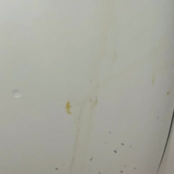 Xenon Kedi Tuvaleti Sızdırıyor, Müşteri Hizmetleri Sorumluluk Almıyor Ve İade Talebi