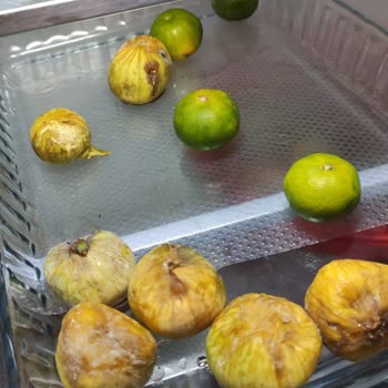 Arçelik Ten Ten Buzdolabının İlk Çalıştırmada Arızalı Olması Ve Değişim Talebim Görmezden Gelindi