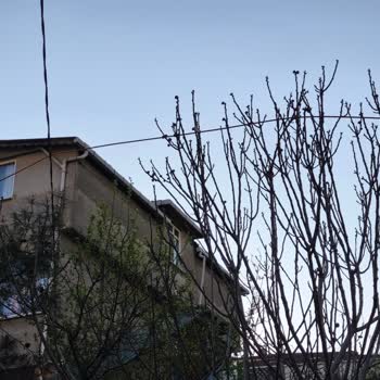 Fiber Kablonun Elektrik Hatları Üzerinden Çekilmesi Güvenlik Riski Oluşturuyor