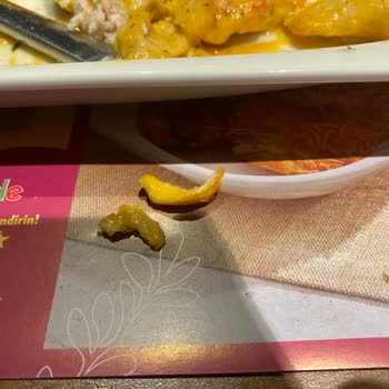 Erdemli Nova City AVM Tavuk Dünyası Şubesinde Pişmemiş Tavuk Ve İlgisiz Servis Şikayeti