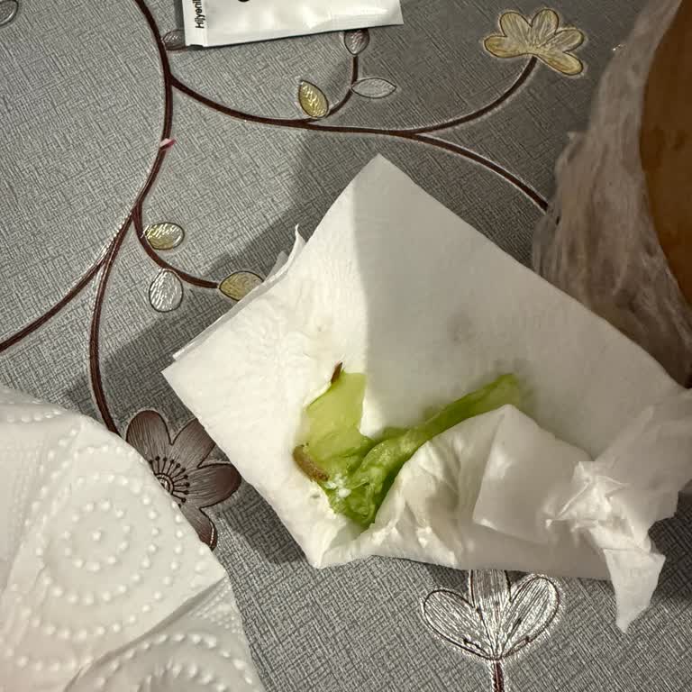 Migros Yemek’te Dream Bowl Siparişinde Canlı Kurt Bulundu