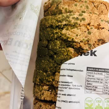 Nogfood Ekmek Küflü Olması