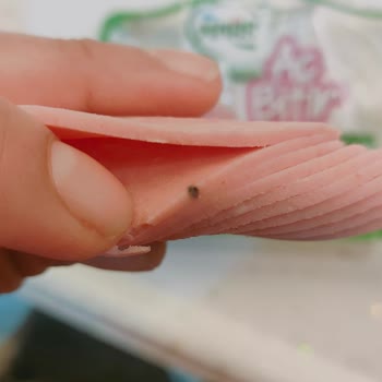 Pınar Hindi Salam İçindeki Sert Siyah Cisim: Çocuk Güvenliği Tehlikede