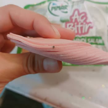 Pınar Hindi Salam İçindeki Sert Siyah Cisim: Çocuk Güvenliği Tehlikede