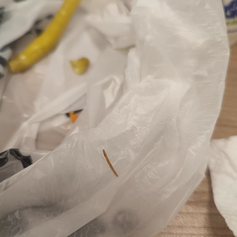 Maydonoz Döner Şubesinde Dönerde Çöp Bulunması Ve Hijyen Endişesi