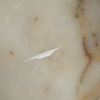 Alimoğlu Baklavası Ve Dondurmasında Yabancı Cisimler: Çocuk Sağlığı Tehlikede