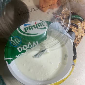 Pınar Doğal Yoğurdun Küflü Çıkması Ve İade Talebi