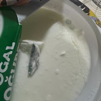 Pınar Doğal Yoğurdun Küflü Çıkması Ve İade Talebi